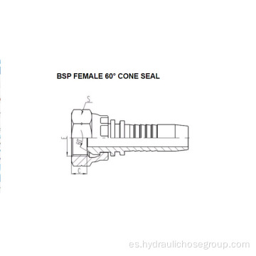 Sello cónico hembra de 60 ° BSP 22611